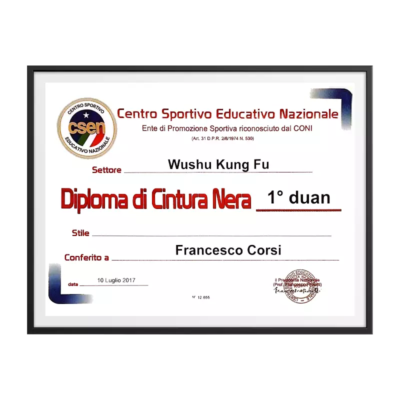 Diploma di cintura nera